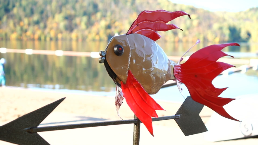 Goldfish pointer with metal arrow. Decorative navigator or compass.