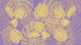 Colourful violet purple and yellow background with beautiful monstera plant leaves. Animation. VJ clip, banner billboard funny seamless loop background.