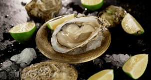 The oysters in a plate with a piece of lime rotates. On a black background.