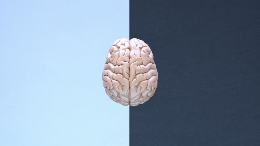 Creative left brain functions and right analytic hemisphere. 3d art color animation background Royalty-Free Stock Footage #1061230555