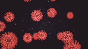 Coronavirus covid19 pathogen inside infected organism. Virus under microscope as red cells on black background. Dangerous virus strain cases leading to epidemic. 3d rendering animation in 4K video.