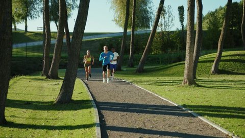 Three attractive young people jogging together in beautiful alley of public park. Motivated group of determined fit men and woman enjoying outdoor sport activity. Teamwork.