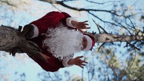 Vertical video Happy man dressed in Santa Claus suit climbed tree in forest and funny dancing. Christmas. Slow motion.