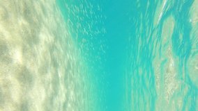 Transparent blue water on the beach in Spanish Costa Brava. Handheld vertical footage
