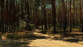 Cinematic clip of a buggy car going in cross country road. Fast buggy is driving with big clouds of dust. Speed riding of a racing off-road car in the forest road, with a sound of engine. 