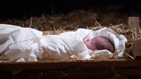 4K Dolly: Baby Jesus sleeping in a Manger with straw and Hay. Christmas Scene for the Nativity in a stable.