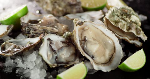 Oysters with sliced lime and ice rotate. On a black background. 
