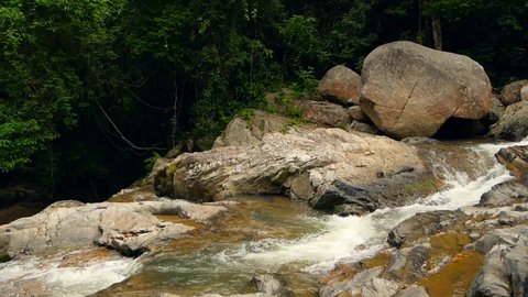 Mountain river flowing in rainforest. Endless meditative video, stream in tropical exotic jungle forest. Creek flow in deep woods among stones. Cascades of waterfall, greenery and trees. Seamless loop