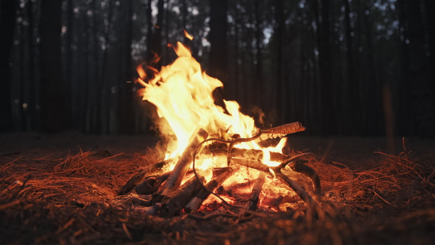 Bright flame of burning bonfire in dark on background of pine forest in evening camping at sunset summer. Burning branches in fire tongues of flame. Hiking. Tourism. Travel. Lifestyle Go Everywhere Royalty-Free Stock Footage #1061256799