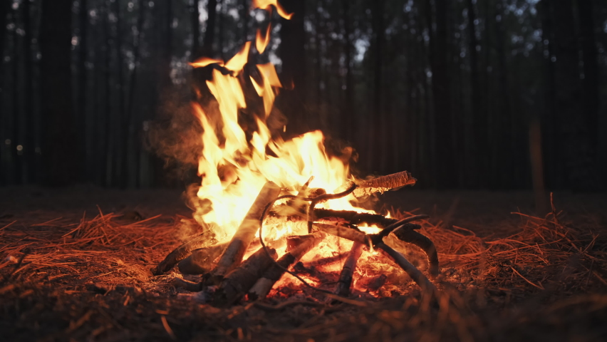 Bright flame of burning bonfire in dark on background of pine forest in evening at sunset day summer. Burning branches in the fire, tongues of flame. Hiking. Tourism. Travel. Lifestyle Go Everywhere Royalty-Free Stock Footage #1061256799