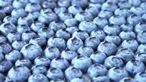 Fresh Ripe Blueberry Rotating Background. Blue Fruit Macro Shot in Motion