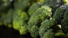Broccoli With Drops of Water,Beautiful Macro 4k Video, Raw organic food vegetables, Organic harvest in garden, Farming, Agriculture