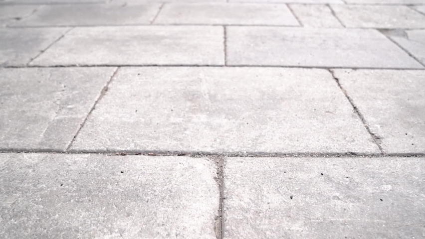 Tourny fountain in Quebec City landmark background