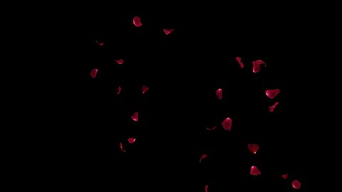 Red Rose Petal Realistic Falling with Alpha channel.3D rendering.
Fall 2 Clip start to end and seamless loop place on footage or background easy to change color.