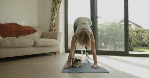 Female practicing yoga exercise at home together with dog on floor during lockdown