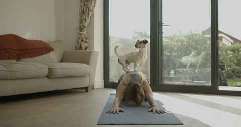 Female practicing yoga exercise at home together with dog on floor