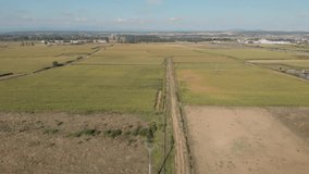 DRONE AERIAL FOOTAGE: View of cultivated fields, especially cereals, in the interior Spain, autonomous community of Castile and León.