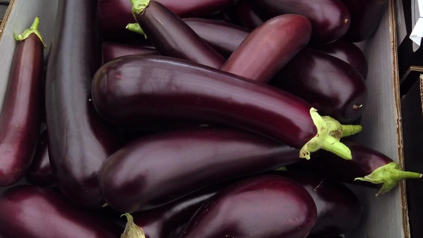 Zoom out of fresh, organic aubergines or eggplants, Solanum melongena, on a market stall in the UK | Shutterstock HD Video #1061276872