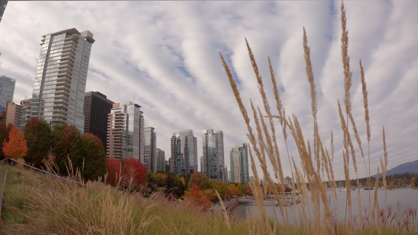 Coal Harbor Autumn Vancouver 4K UHD. Fall colors in Coal Harbour next to the Vancouver Convention Centre environmentally friendly green roof. 4K UHD.
