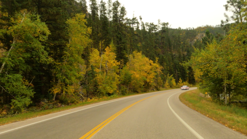 Spearfish Canyon drive autumn South Dakota black hills antique car 4K. Beautiful fall colors in forest. Black Hills of South Dakota. Mountain, valley, landscape scenic discovery. Scenic byway