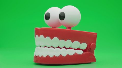 Toy teeth. Moving funny tooth model toy. Сhattering teeth toy moving on green background.