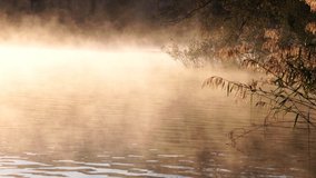Clouds of mist on the lake in the morning and the sun comes up. - Powered by Shutterstock - Get 15% off with code: PIKWIZARD15
