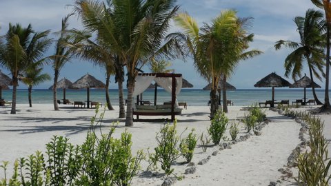 Luxury resort pathway walk towards the beach with palm trees, empty deckchairs and umbrellas, Zanzibar