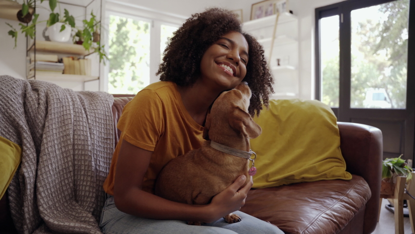 Happy young adult girl sitting on cozy sofa enjoying playing with small cute pet dog in apartment Royalty-Free Stock Footage #1061320642