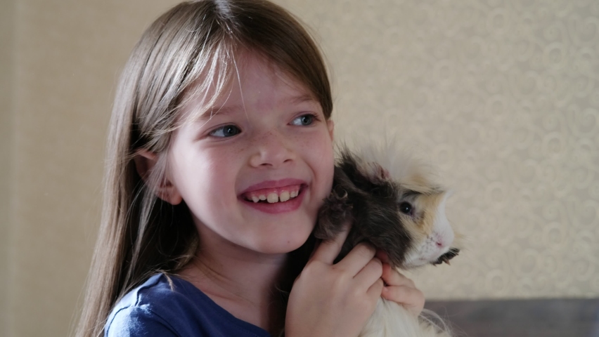 little girl holding a guinea pig in her arms and laughing