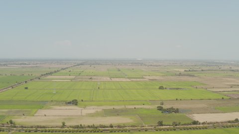 Aerial view of rice fields on flat land in South East Asia Cambodia