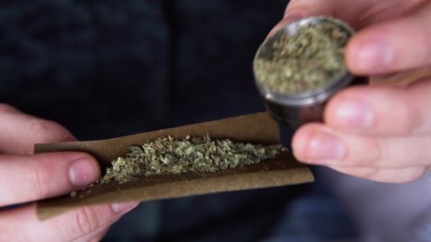 Man rolling a marijuana weed blunt. Close up marijuana joint with lighter. light licks color toned light leaks Man rolling marijuana cannabis blunt.