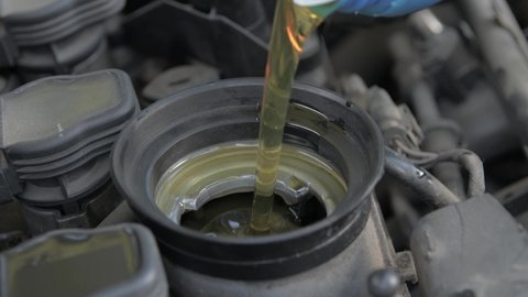 Pouring engine new clean synthetic oil into the engine.Oil change in auto.