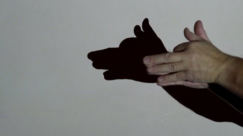 Male hands make a shadow of a dog under the projector lighting. Entertainment theater for young children