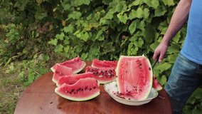 A man cuts a pink-fleshed watermelon into slices. A large, ripe, striped, green berry lies on the table. We are preparing a dessert for eating at the holiday. Medium shot. Summer day. 4K.