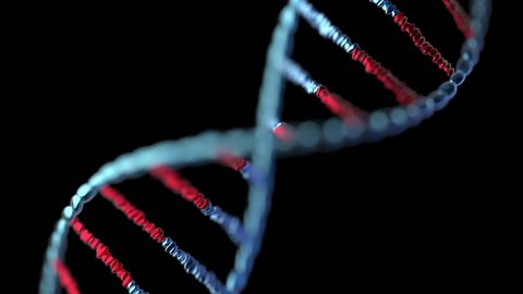 Rotating DNA chain - deoxyribonucleic acid on black black background. Science and genetics concept. 3D animation in 4k resolution (3840 x 2160 px).