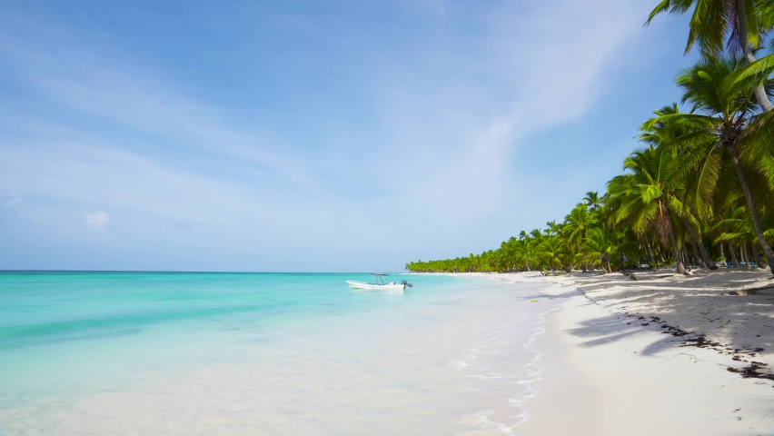 Pristine tropical beach and sea in Punta Cana Dominican Republic. | Shutterstock HD Video #1061382316