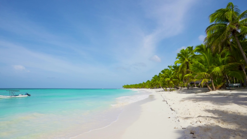 Beach by the ocean. Tropical paradise and the Caribbean Sea background. | Shutterstock HD Video #1061383918
