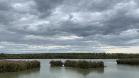 Wetlands in the natural reserve of Argenta, Italy near the Po river Comacchio Valleys under a moody autumal sky
