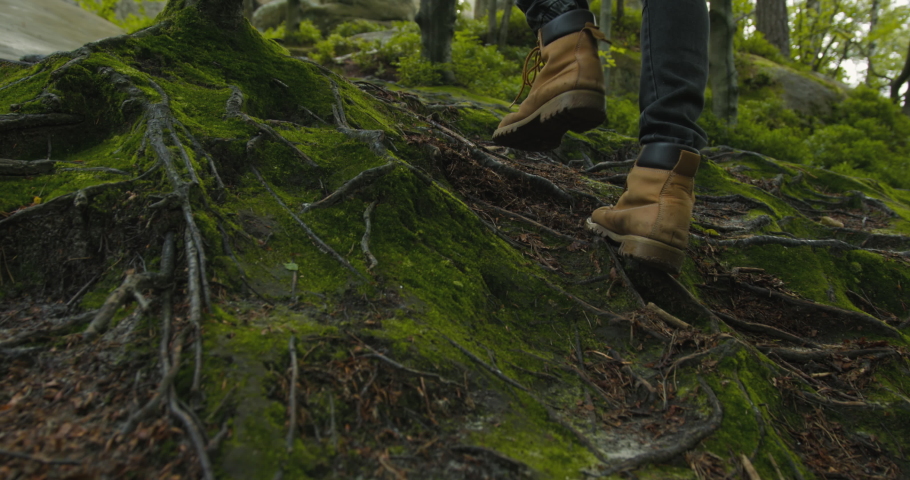 The man is climbing a mountain. Close-up of his leg. He goes by the roots of trees. Hiking in the mountains. 4K DCI