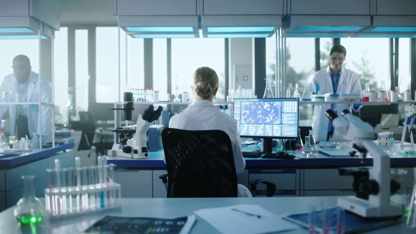 Medical Laboratory with Team of Scientists Working. Microbiologist Looking under Microscope and working on Computer. Developing Drugs, Gene Editing, High-Tech Biotechnology Research. Back View Zoom In Royalty-Free Stock Footage #1061389459