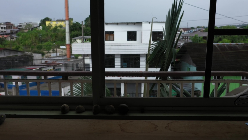View from window at the balcony with palm leaves blowing in the soft breeze and a cityscape behind the palm trees 
