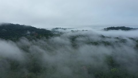 Drone shot flying through the mist and revealing a large tropical river that is covered by pebbles from above

