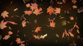 Autumn leaves falling slowly on defocused background. Fall season background seamless looping. Autumnal background. 4k - Powered by Shutterstock - Get 15% off with code: PIKWIZARD15