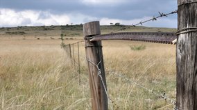 shot of a barbed wire fence in a South African winter landscape - Powered by Shutterstock - Get 15% off with code: PIKWIZARD15