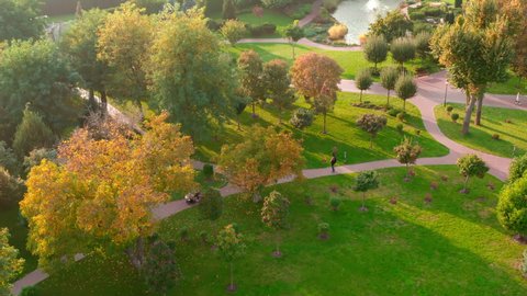 Aerial view of the city park on a sunny autumn evening. Park with walking people, paths, trees and green grass. Landscaping. Place for walking and outdoor recreation