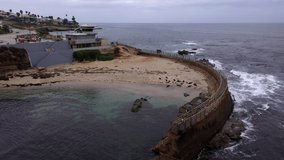 Children's Pool in La Jolla, California. Seals resting on sand. High quality 4k drone footage