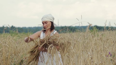 A woman in a white shawl and dress knits wheat ears with her hands at sunset, a Reaper with a sheaf. An old Russian way of cleaning bread. Dozhinki