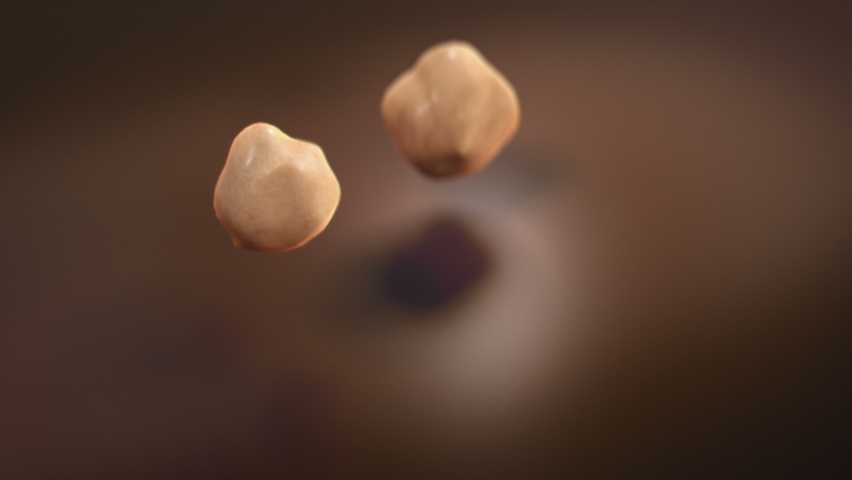 Hazelnuts Falling Into Liquid Chocolate in 4K Super slow motion Royalty-Free Stock Footage #1061425570