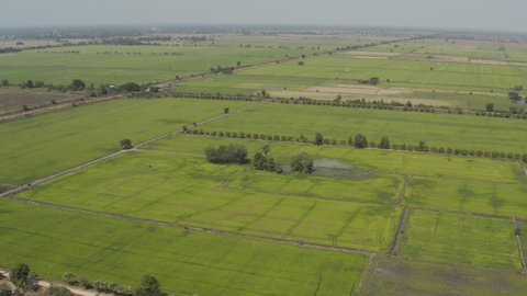 flying over a Farmer spraying pesticides on rice field in Cambodia