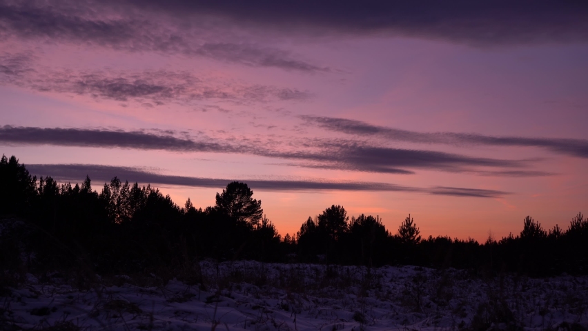 travel concept. black silhouette of a man in a hood against a purple sky. sunset in winter. travel in the winter forest